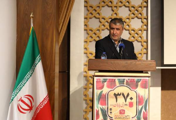 AEOI: Iran seeks to indigenize fuels for power plants