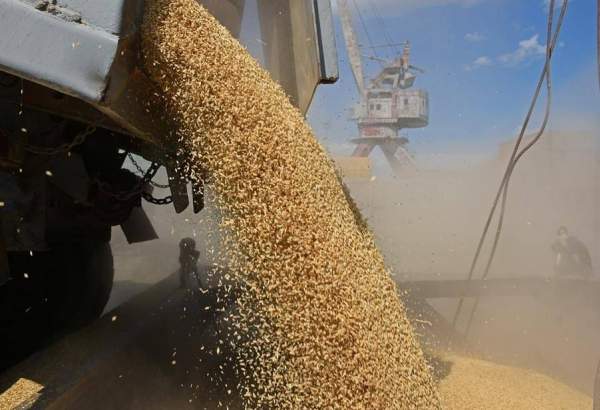 Kremlin rules out return to grain deal at present moment