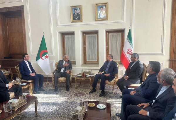 وزير الخارجية : عازمون على تطوير العلاقات مع الجزائر في مختلف المجالات