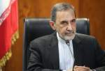 Leader’s advisor hails Iran’s constructive role, active diplomacy in region