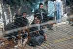 حمایت حماس از زندانیان فلسطینی در مبارزه با سیاست‌های اسرائیل