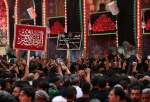 Arba’een procession in Karbala (photo)  <img src="/images/picture_icon.png" width="13" height="13" border="0" align="top">