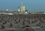 World Muslims mark demise anniversary of Prophet Mohammad (PBUH)