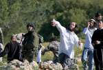 Israeli settlers attack Palestinian homes in Nablus