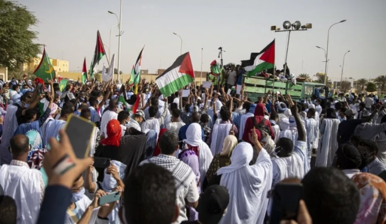 الأحزاب الجزائرية تدعو إلى مسيرات واسعة صباح اليوم الخميس نصرةً لفلسطين