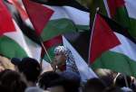 Pro-Palestine rally held across globe (video)  