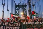 Pro-Palestine rally held in Manhattan, New York (photo)  
