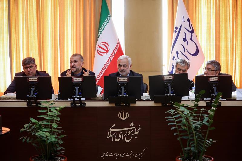 وزير الخارجية الإيراني : فصائل المقاومة تضغط بذكاء على الصهاينة وحماتهم