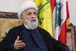 Hezbollah calls on Muslim world to do more for Palestinians under Israeli war