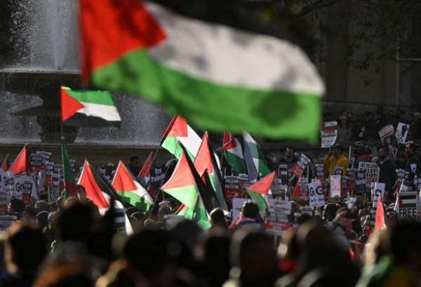 World people voice solidarity with Palestine (video)  