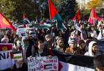 Pro-Palestine rallies held across globe amid resumption of Israeli onslaughts on Gaza (video)