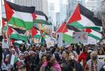 Pro-Palestine rally held in Toronto (video)  