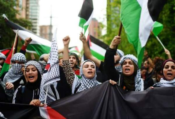 Pro-Palestine activists in Santiago express solidarity with Gazans (video)  <img src="/images/video_icon.png" width="13" height="13" border="0" align="top">