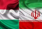 کمیسیون اقتصادی ایران و مجارستان در تهران آغاز به کار می‌کند