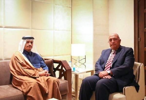 مصر اور قطر کے وزرائے خارجہ کی غزہ کی تازہ ترین پیش رفت پر تبادلہ خیال