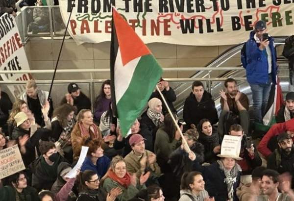 تحصن حامیان فلسطین در مجلس نمایندگان هلند