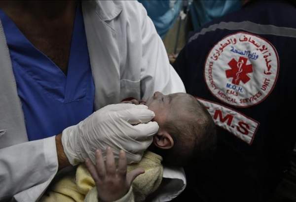 ActionAid: Women in Gaza giving birth to stillborn babies