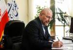 رئيس البرلمان الايراني : المشاورات البرلمانية تدفع بتعزيز الاستقرار في الدول الإسلامية