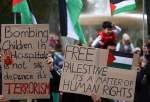 Vienna University students hold pro-Palestine gathering (video)