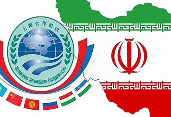 شنگھائی تعاون تنظیم میں ایران کے موثر کردار کی تعریف
