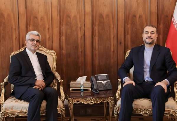 سفیر جدید ایران در نیجر با امیرعبداللهیان دیدار کرد