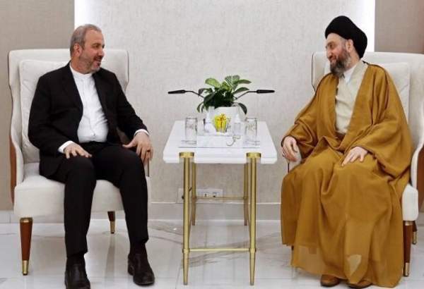 بغداد میں ایرانی سفیر کی سید عمار حکیم سے ملاقات