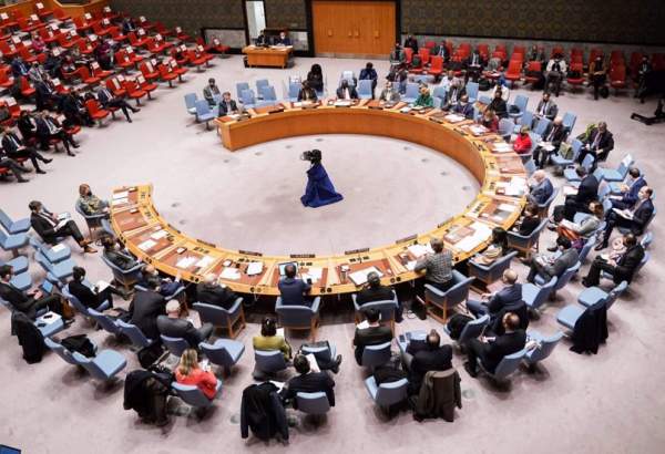 US secretly pushing UNSC members to reject Palestine statehood bid