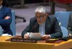 سلامتی کونسل، اسرائیل کی سرکش حکومت کو غزہ میں جنگ اور نسل کشی فورا بند کرنے پر مجبور کرے