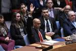 US veto on full Palestine membership casts more doubt on UN