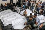 Palestinian death toll nears 34,600 as Israel continues to pound besieged Gaza