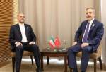 دیدار امیرعبداللهیان با وزیر خارجه ترکیه